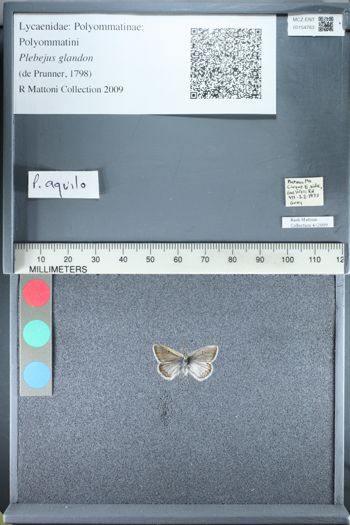 Media type: image;   Entomology 154763